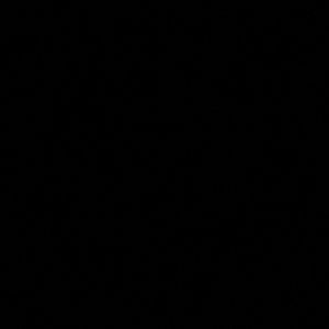 Meet your Posher, Jessie